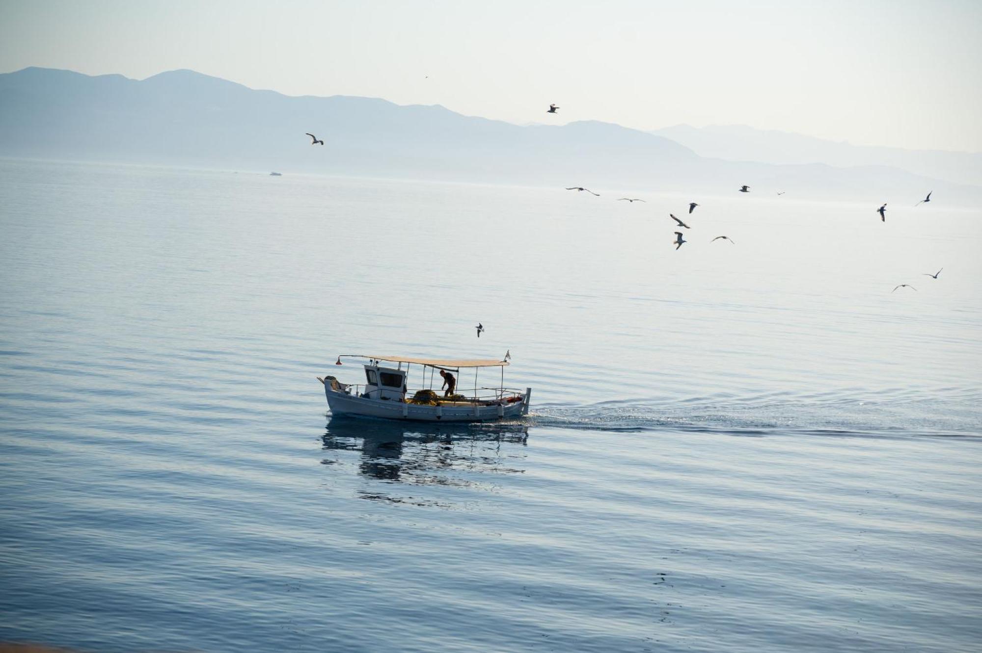 Villa Thea Antonis ガイオス エクステリア 写真